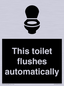 This toilet flushes automatically
